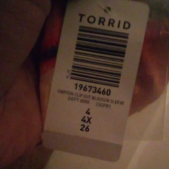 Torrid - Picture 6 of 12